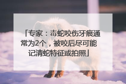 专家：毒蛇咬伤牙痕通常为2个，被咬后尽可能记清蛇特征或拍照