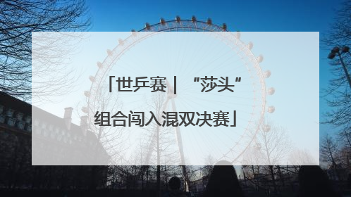 世乒赛｜“莎头”组合闯入混双决赛