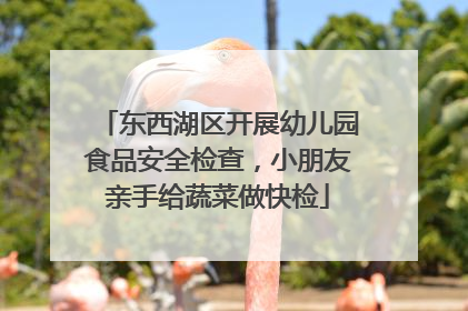 东西湖区开展幼儿园食品安全检查，小朋友亲手给蔬菜做快检