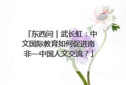东西问｜武长虹：中文国际教育如何促进南非—中国人文交流？