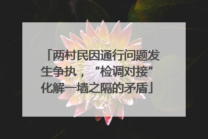 两村民因通行问题发生争执，“检调对接”化解一墙之隔的矛盾