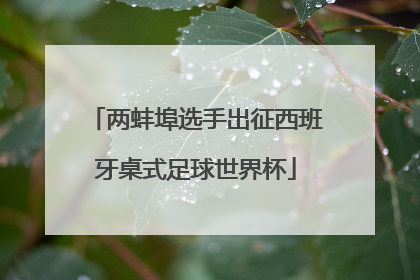 两蚌埠选手出征西班牙桌式足球世界杯