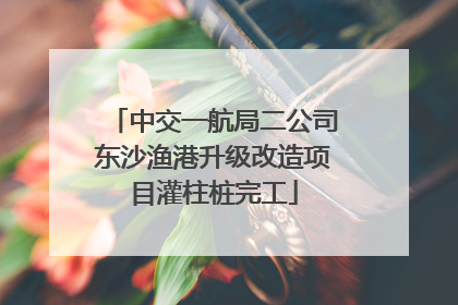 中交一航局二公司东沙渔港升级改造项目灌柱桩完工