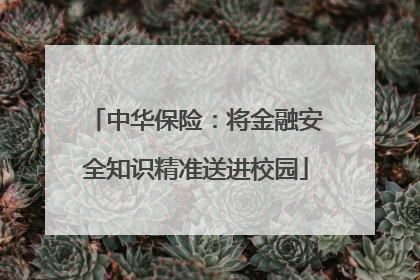 中华保险：将金融安全知识精准送进校园