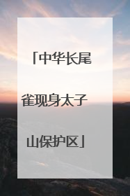 中华长尾雀现身太子山保护区