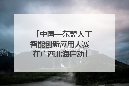 中国—东盟人工智能创新应用大赛在广西北海启动