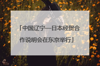 中国辽宁—日本经贸合作说明会在东京举行