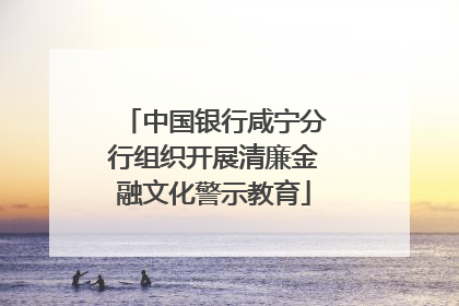 中国银行咸宁分行组织开展清廉金融文化警示教育
