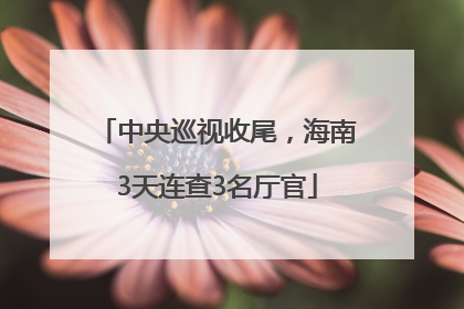 中央巡视收尾，海南3天连查3名厅官