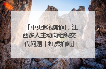 中央巡视期间，江西多人主动向组织交代问题｜打虎拍蝇