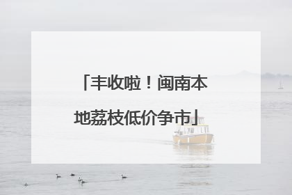 丰收啦！闽南本地荔枝低价争市
