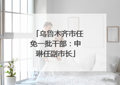 乌鲁木齐市任免一批干部：申琳任副市长