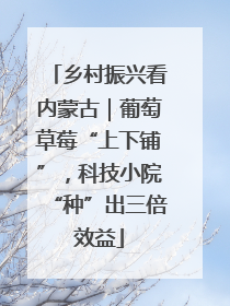 乡村振兴看内蒙古｜葡萄草莓“上下铺”，科技小院“种”出三倍效益