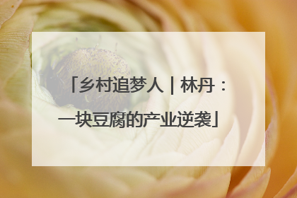 乡村追梦人｜林丹：一块豆腐的产业逆袭