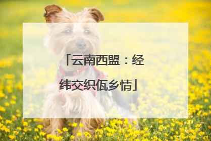 云南西盟：经纬交织佤乡情