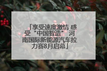 享受速度激情 感受“中国智造” 河南国际新能源汽车拉力赛8月启幕