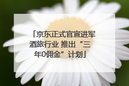 京东正式官宣进军酒旅行业 推出“三年0佣金”计划