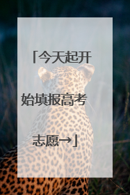 今天起开始填报高考志愿→