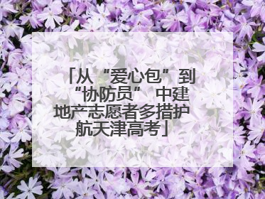 从“爱心包”到“协防员” 中建地产志愿者多措护航天津高考