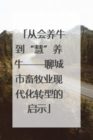 从会养牛到“慧”养牛——聊城市畜牧业现代化转型的启示