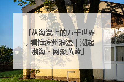 从海瓷上的万千世界，看懂滨州浪漫｜潮起渤海・网聚黄蓝