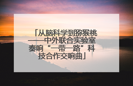从脑科学到猕猴桃——中外联合实验室奏响“一带一路”科技合作交响曲