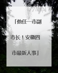他任一市副市长！安徽四市最新人事