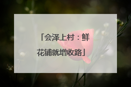 会泽上村：鲜花铺就增收路