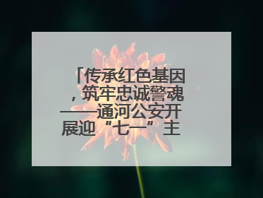 传承红色基因，筑牢忠诚警魂——通河公安开展迎“七一”主题党日活动