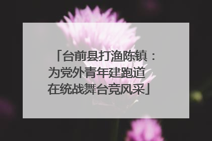台前县打渔陈镇：为党外青年建跑道 在统战舞台竞风采
