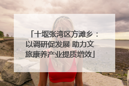 十堰张湾区方滩乡：以调研促发展 助力文旅康养产业提质增效