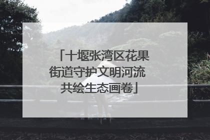 十堰张湾区花果街道守护文明河流 共绘生态画卷