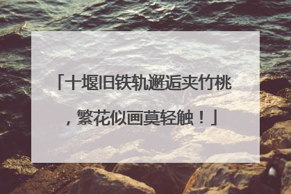 十堰旧铁轨邂逅夹竹桃，繁花似画莫轻触！
