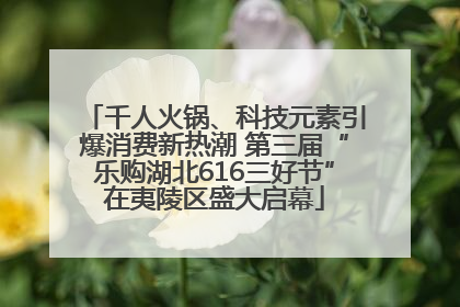 千人火锅、科技元素引爆消费新热潮 第三届“乐购湖北616三好节”在夷陵区盛大启幕