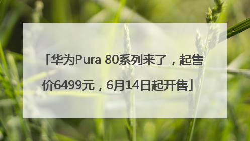 华为Pura 80系列来了，起售价6499元，6月14日起开售