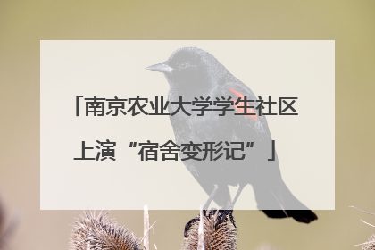 南京农业大学学生社区上演“宿舍变形记”