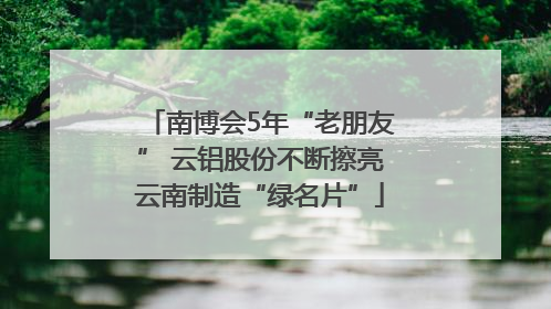 南博会5年“老朋友” 云铝股份不断擦亮云南制造“绿名片”