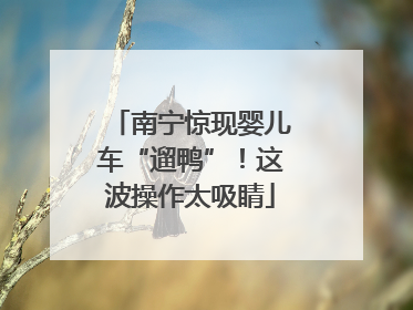 南宁惊现婴儿车“遛鸭”！这波操作太吸睛