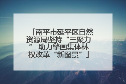 南平市延平区自然资源局坚持“三聚力” 助力擎画集体林权改革“新图景”