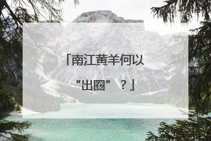 南江黄羊何以“出圈”？