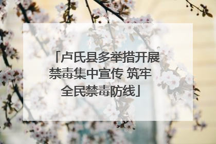 卢氏县多举措开展禁毒集中宣传 筑牢全民禁毒防线