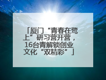 厦门“青春在鹭上”研习营开营，16台青解锁创业文化“双精彩”