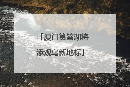 厦门筼筜湖将添观鸟新地标