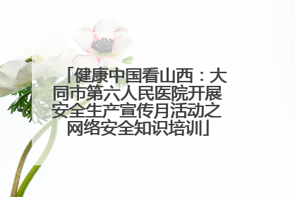 健康中国看山西：大同市第六人民医院开展安全生产宣传月活动之网络安全知识培训