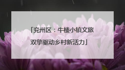 兖州区：牛楼小镇文旅双擎驱动乡村新活力