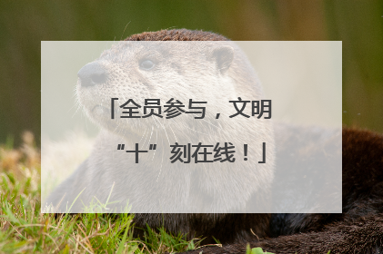 全员参与，文明“十”刻在线！