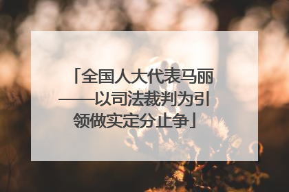 全国人大代表马丽——以司法裁判为引领做实定分止争