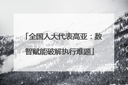 全国人大代表高亚：数智赋能破解执行难题