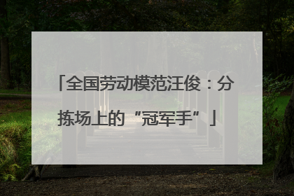 全国劳动模范汪俊：分拣场上的“冠军手”