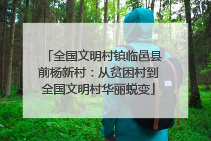 全国文明村镇临邑县前杨新村：从贫困村到全国文明村华丽蜕变
